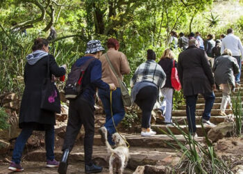 jda.org.za - Call for Proposals to Host a JoziWalks2018 Sponsored Walk