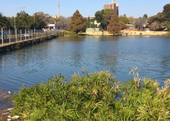 jda.org.za - Westdene Dam Precinct Interventions or NMT
