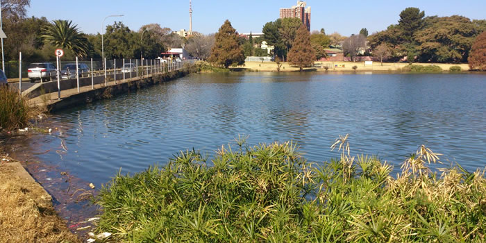 jda.org.za - Westdene Dam Precinct Interventions or NMT